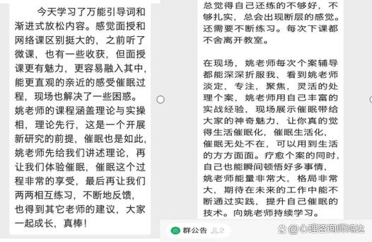 深度解析《催眠班级》官方正式版：游戏机制与用户体验