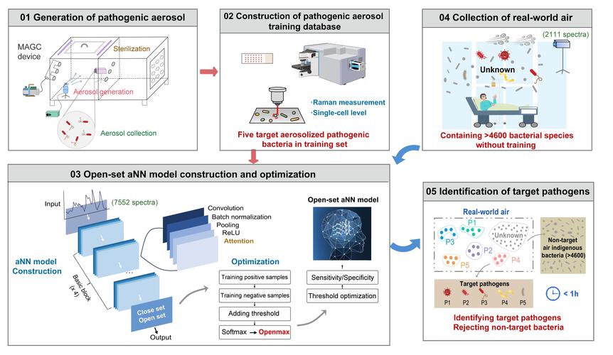 探索Socrates官网：绅士游戏新时代的引领者