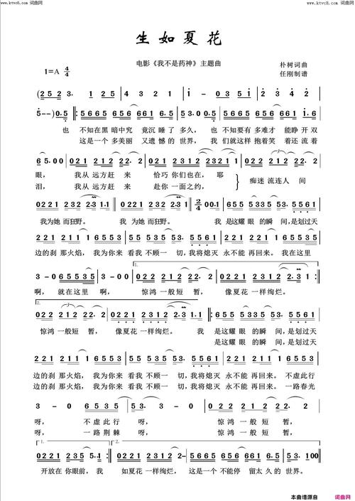 一夏之花最新版本深度分析:创新与挑战并存