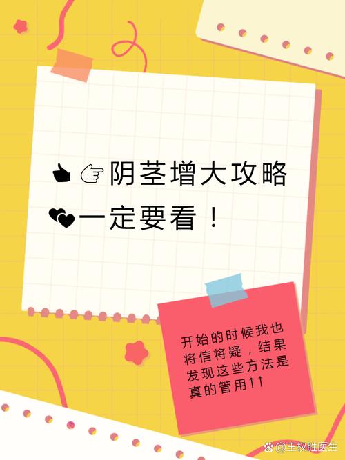 大兄弟如何下载：深度剖析与实用指南