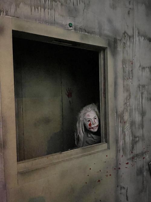 探索《屋内有鬼》的魅力与下载方式：一场游戏的深度分析