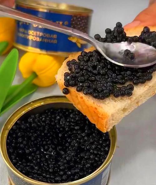 深入解析鱼子酱更新日志:新特性与未来展望