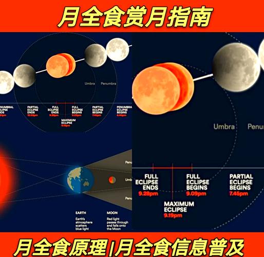 月食版本大全:实用教程与常见问题解决指南