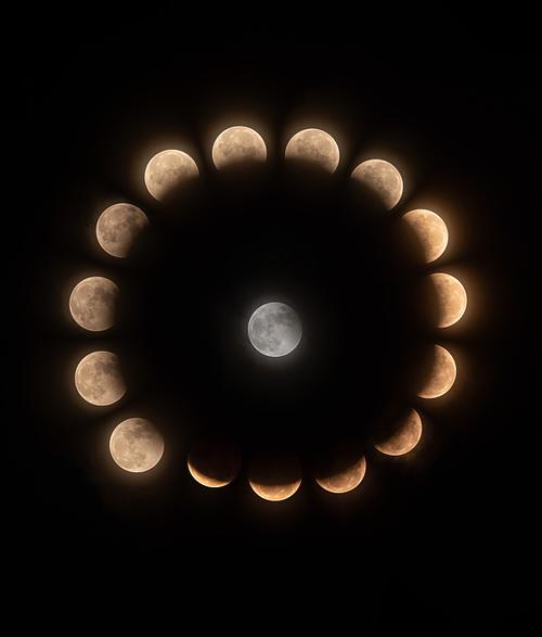 月食官方正式版下载最新版：绅士游戏领域的创新之作