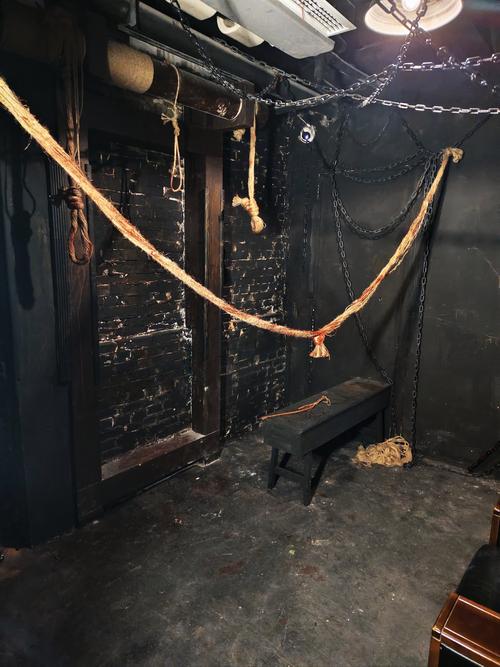 探索“末班电车的牢笼”：一款绅士游戏的深度分析与下载指南