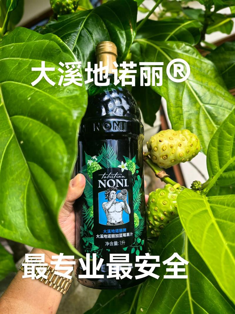 深度解析：诺丽卡斯事件簿汉化版最新更新内容