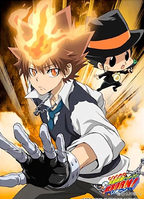 深度解析：家贞教师下载途径与注意事项