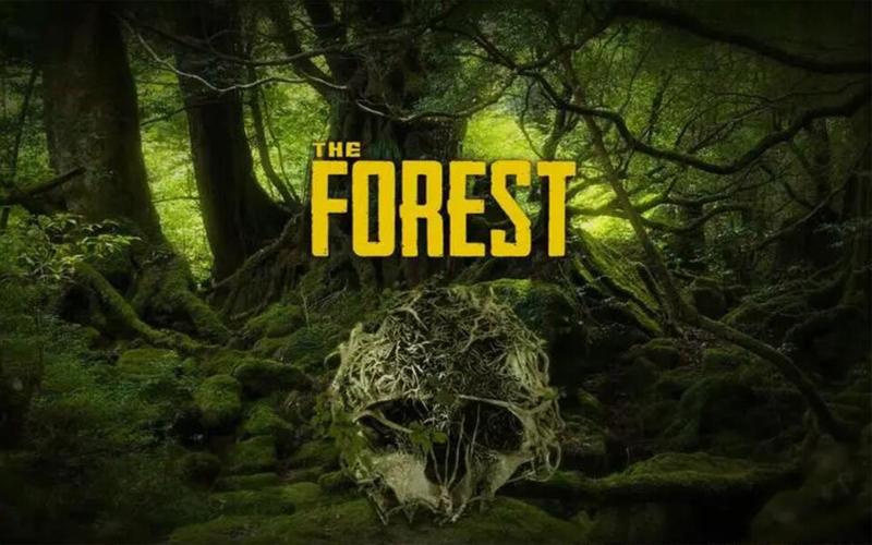 深入探秘《森林之子》：全面游戏攻略与策略分析