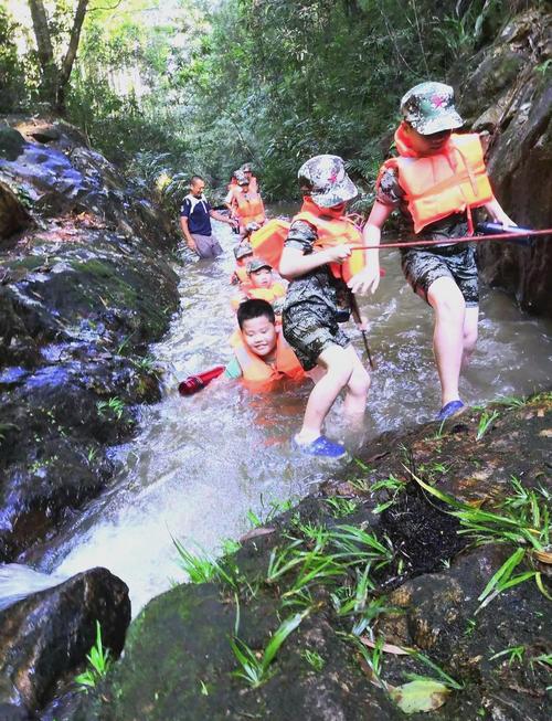 探索精灵谷：一个超越幻想的游戏世界