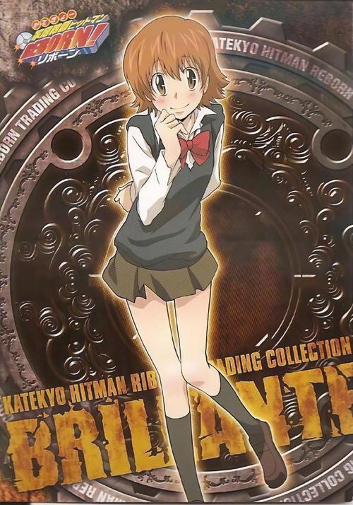 家贞教师安卓：在绅士游戏领域中的独特地位与影响