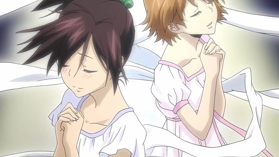 家贞教师安卓:在绅士游戏领域中的独特地位与影响