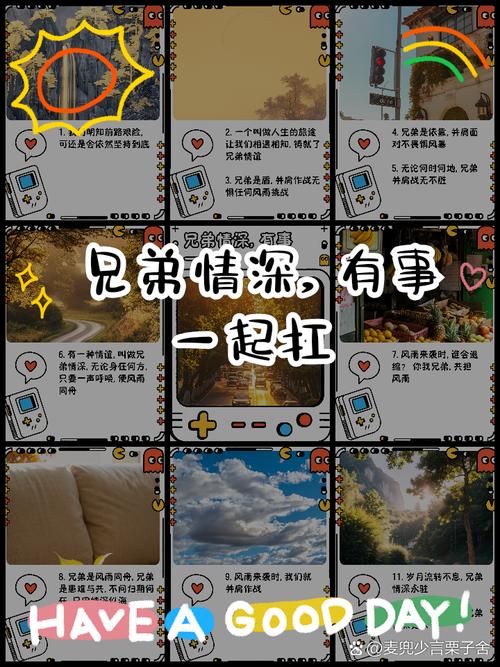 大兄弟版本大全:深度解析与市场趋势