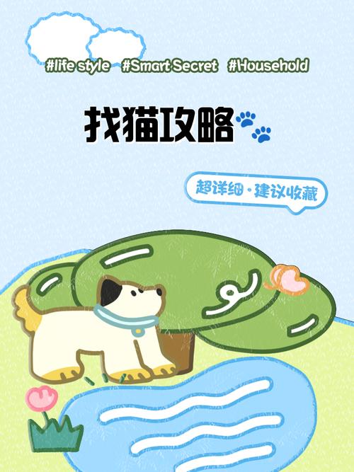 猫研社如何下载：全面解析与实用指导