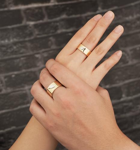 爱相思下载地址的深度解析：背后的市场与用户需求