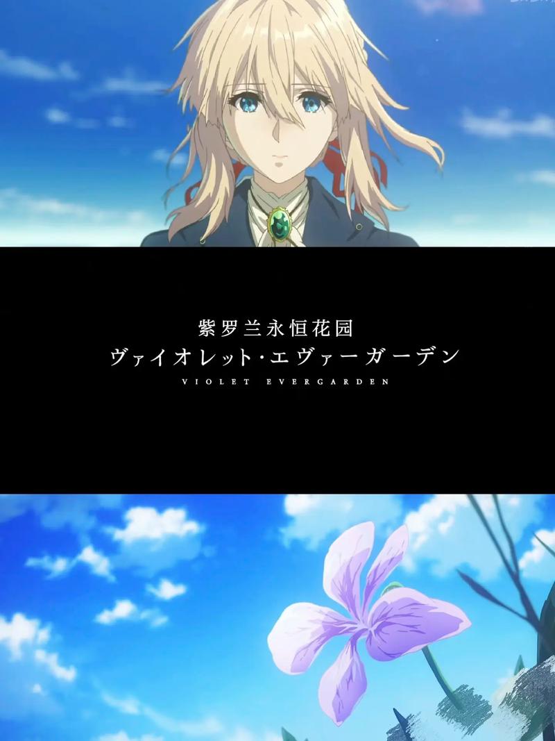 热辣可爱：紫罗兰更新日志深度分析