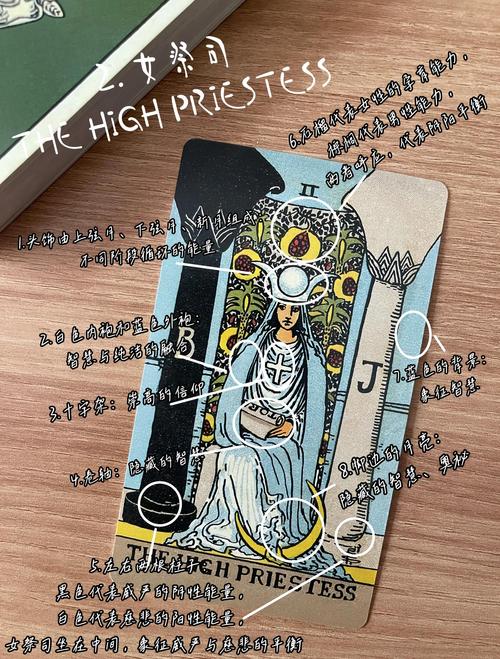 女祭司杨过游戏：探索角色深度与游戏机制的完美结合