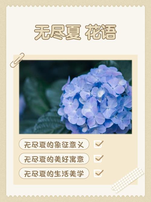 一夏之花版本大全深度解析：绅士游戏的新纪元