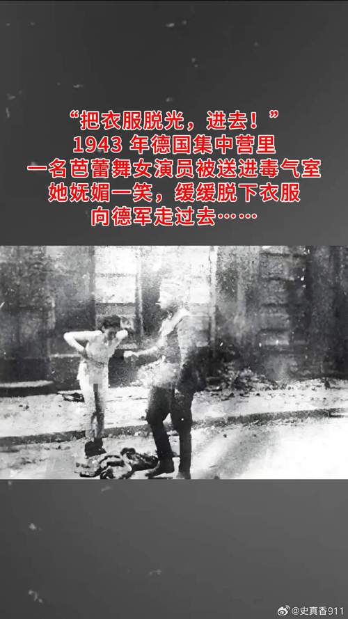 全面解析诺丽卡斯事件簿：深入游戏攻略与玩法技巧