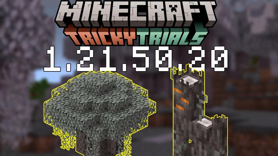 绮波的羞耻冒险下载指南：深入剖析与实用建议