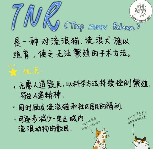 猫研社更新日志深度分析:从玩家反馈看未来发展