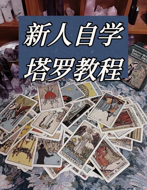 如何使用克莉斯塔与托尼奥官方网站的终极指南