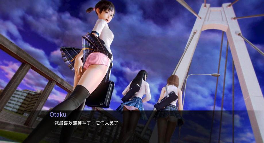 二次元老婆学院下载教程：轻松获取与安装