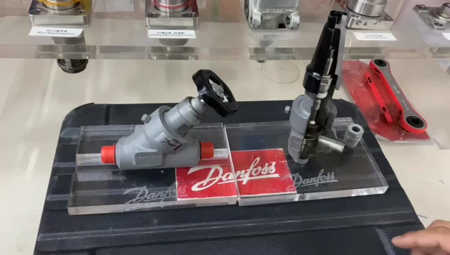 丹弗斯女士版本大全的深度分析与解读