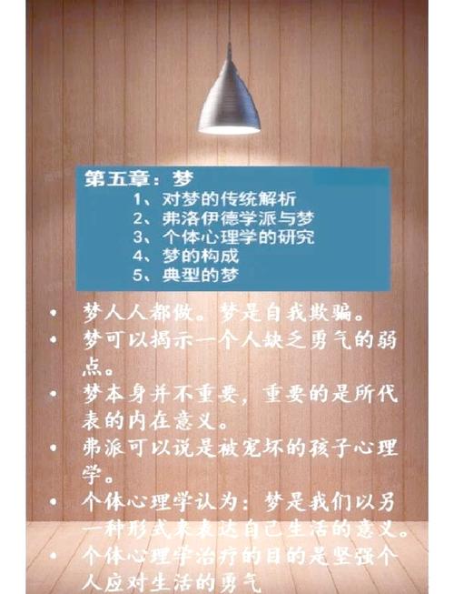 深入解析《我的宾博梦》：绅士游戏的文化与技术融合