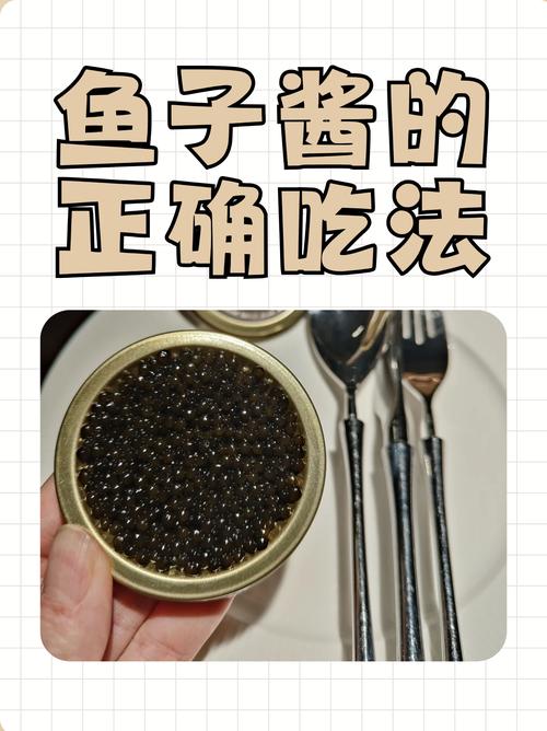 鱼子酱最新版本使用教程：轻松上手的完整指南