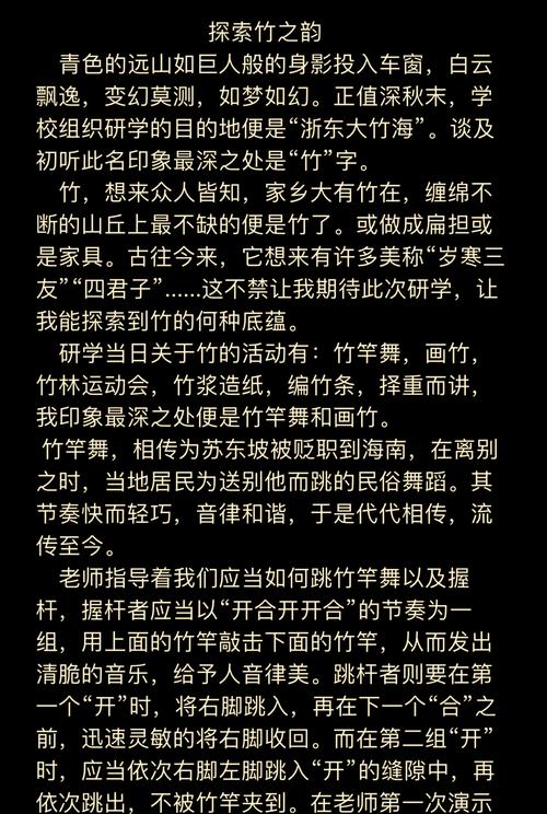 深度解析：竹内的旅程版本大全及其市场影响