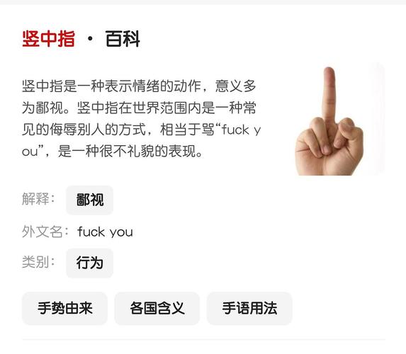 中指通更新地址全面教程：快速获取与操作指南