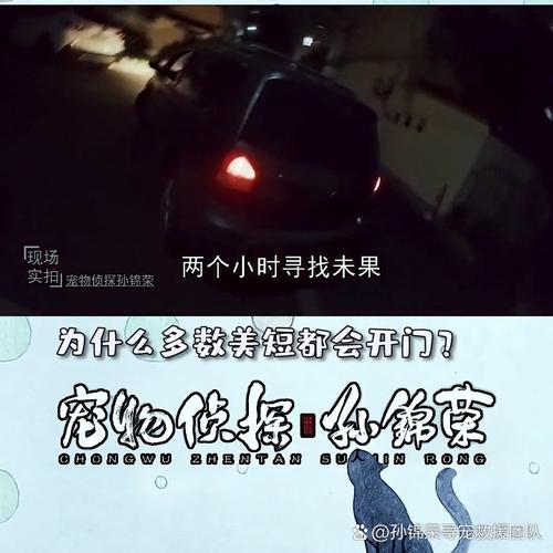 深夜最新：如何高效寻找绅士游戏的优质资源