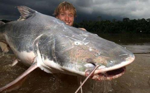 亚马逊鲶鱼下载地址:探秘绅士游戏的隐秘世界