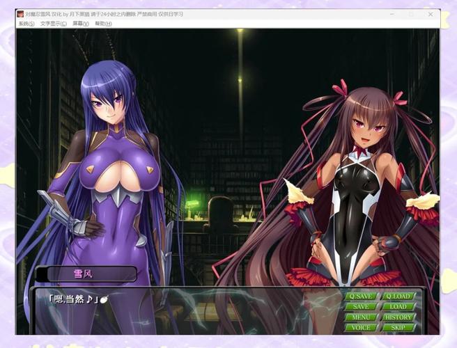 对魔忍雪风安卓：深度解析及游戏策略