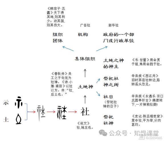 深入解析《皇帝与社稷》版本大全：策略与发展新视角