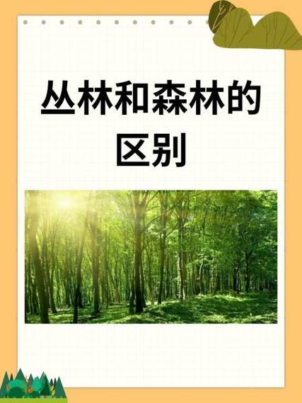 如何找到和更新“森林之子”的最新版本：详细教程