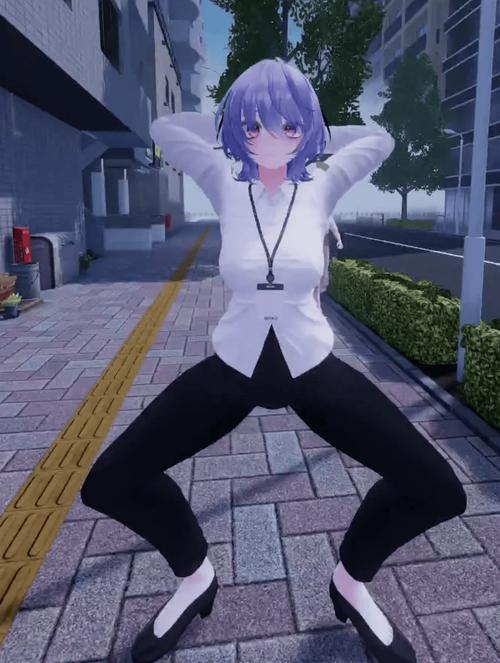 塞雷卡安卓安装与使用全攻略