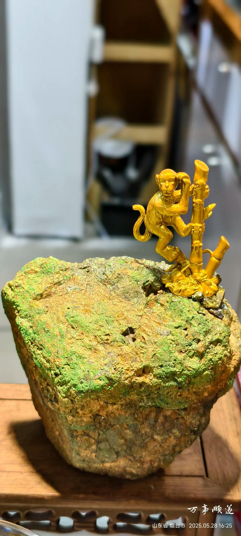 天然去雕饰最新版本的深度分析与应用前景