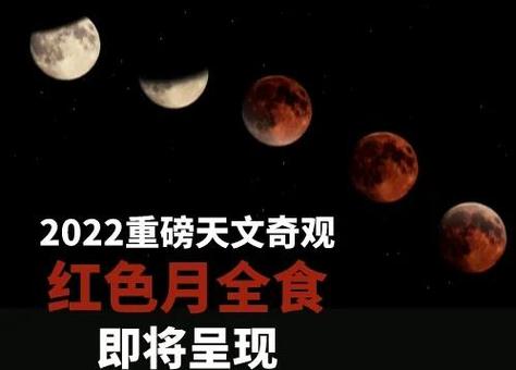 如何有效使用月食官方网站：新手实用教程