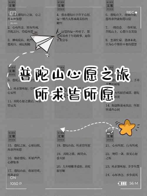如何查看《祈愿之旅》最新版本及更新内容