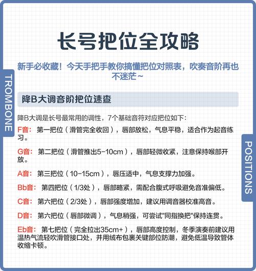 舰长最新：新手操作指南与实用技巧