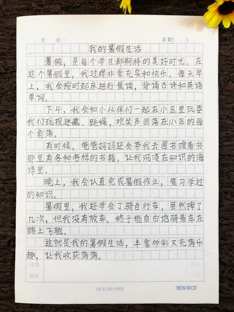 深度剖析《我的H暑假》：一款绅士游戏的魅力与挑战