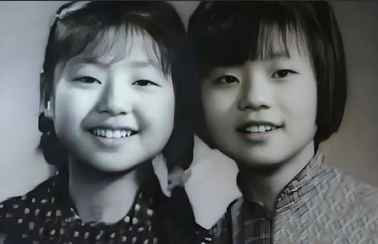 解析《我的新家庭绅士游戏》的玩法与市场影响