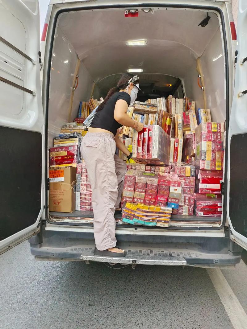 深入分析《爆汝送货员》游戏的魅力与市场潜力