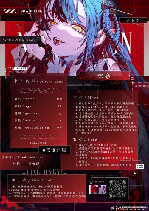 全面解析诺莉卡的案件版本大全：实用教程与技巧