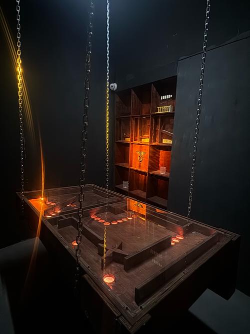 深入探讨：秘密工作室汉化版下载的背景与影响