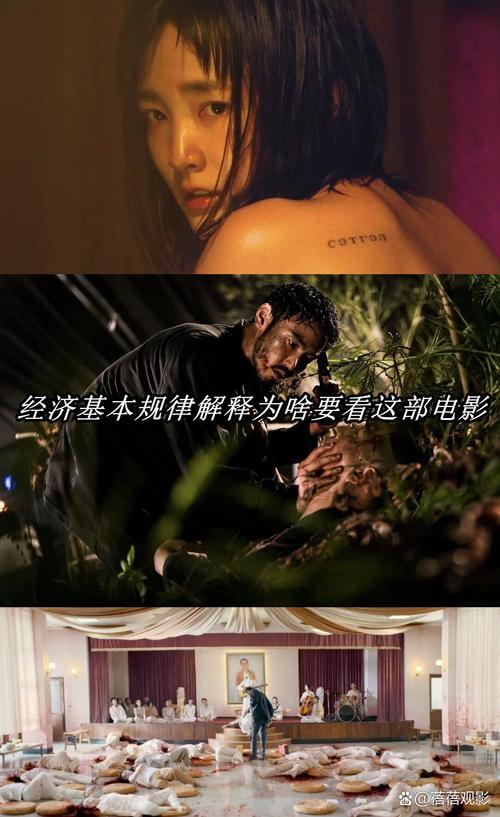 死亡之种1最新：深度解析及未来发展趋势