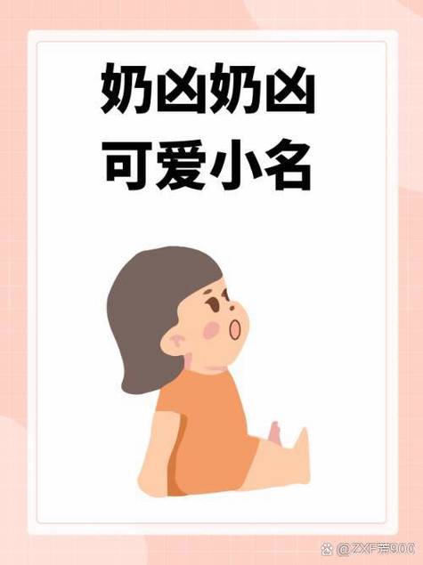 崽儿酱安卓使用教程：新手必看详细指南