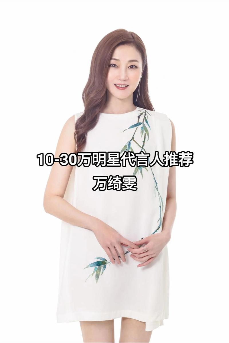 明星代言人更新日志:洞悉对绅士游戏市场的影响