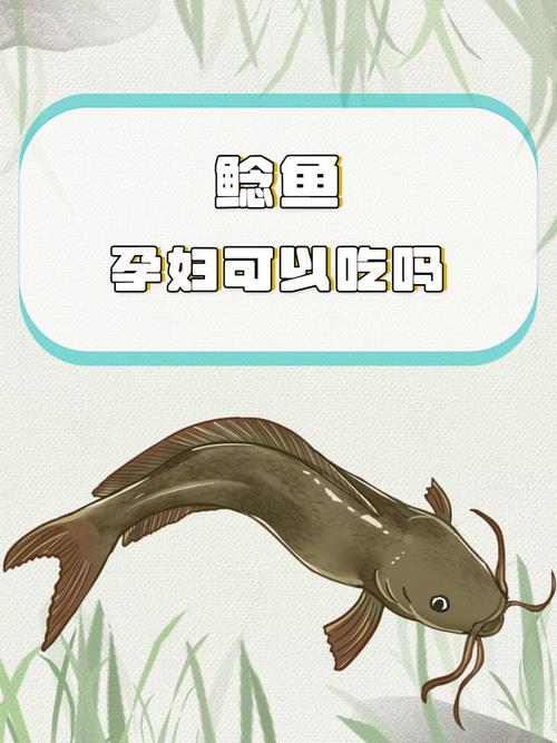 深入剖析亚马逊鲶鱼官方网站：创新与机遇的交汇点